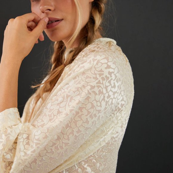 HTF Anthropolgie Susanna Burnout Velvet Buttondown - Picture 5 of 5